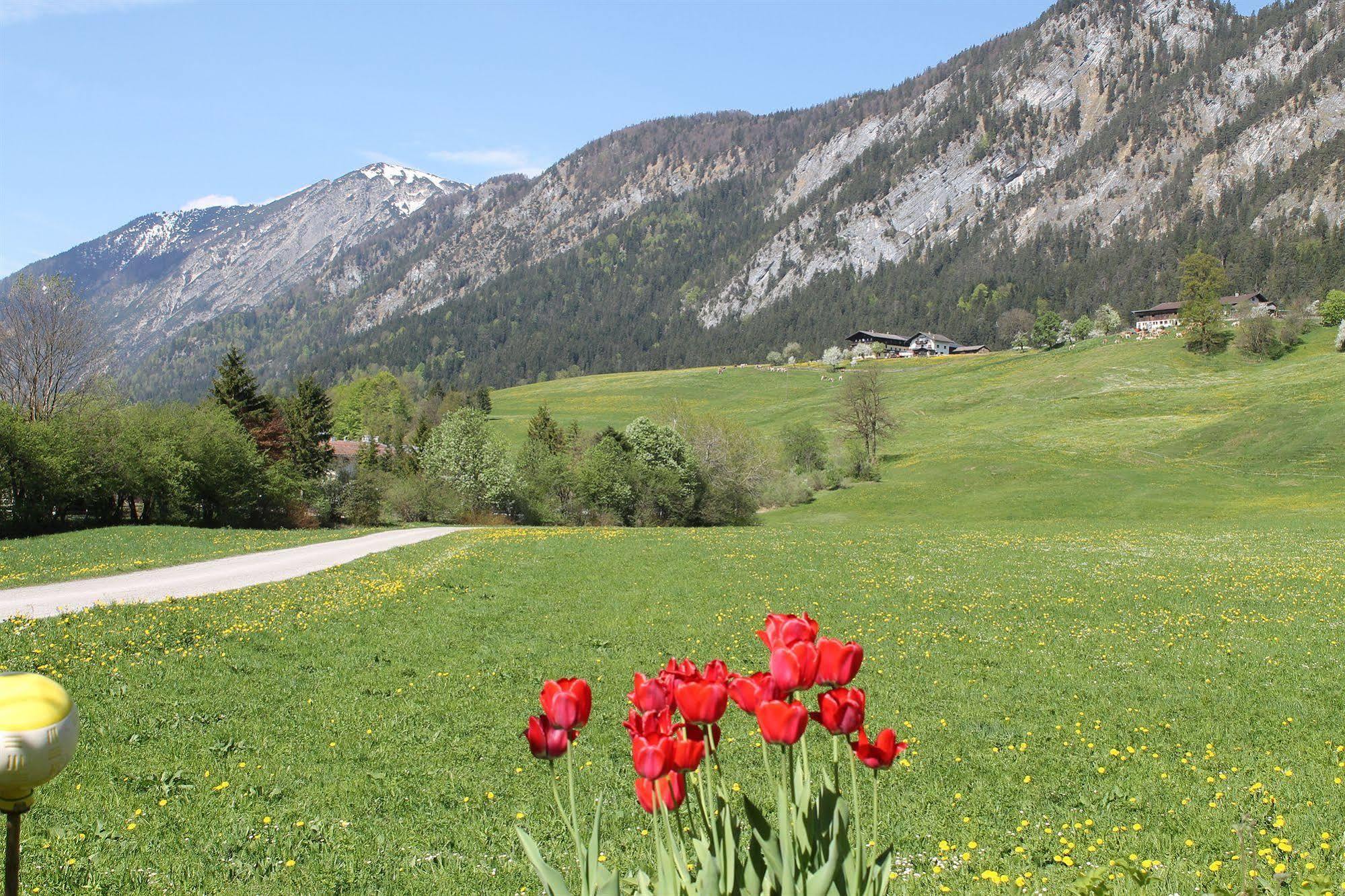 Hotel Kraftquelle Schlossblick Angerberg  외부 사진